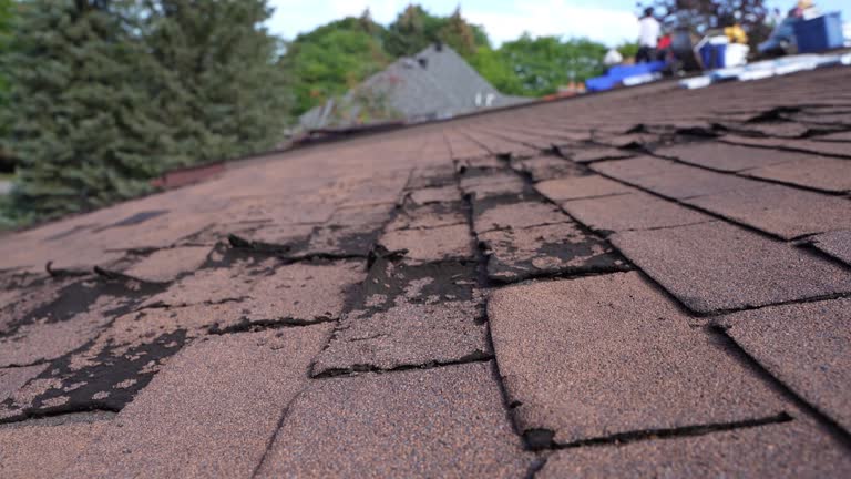 Best Asphalt Shingles Roofing  in North Bend, NE