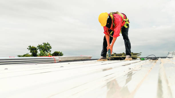 Best Roof Maintenance and Cleaning  in North Bend, NE